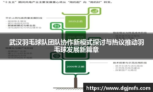武汉羽毛球队团队协作新模式探讨与热议推动羽毛球发展新篇章